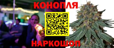 наркотики Будённовск
