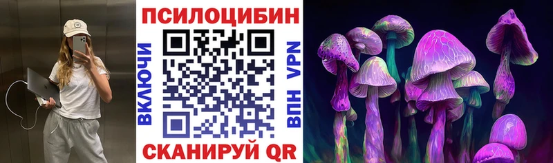 Галлюциногенные грибы Psilocybe  Апшеронск 